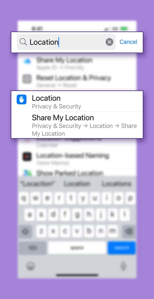 Turn-on-location-ios-search